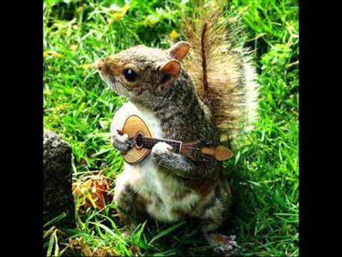 Funny Feel-Good Slideshow! Featuring "I Get Knocked Down"