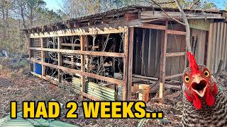 I Turned This Mess Into a Chicken Coop (The $0 Build)