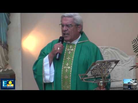 Homilía 27 de julio 2014.  El Reino de los Cielos es un tesoro.