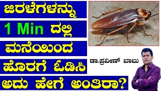 Home Remedies to Get Rid of Cockroaches Kannada | Homemade Cockroaches Killer Kannada | jirle maddu