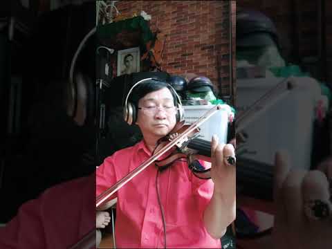 Relax By Thanh Tung Violin Ca Dao Me Saigon Covid Lockdown Time- (Ngay 6)