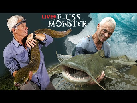 🔴24/7 Live: Die KRASSESTEN Momente aller Zeiten