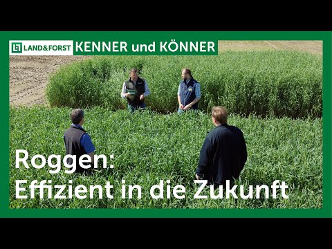 Roggen: Effizient in die Zukunft | LAND & FORST I Expertengespräch