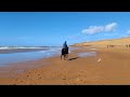 Vous recherchez un cheval toutes disciplines ? 