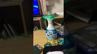 わあああああああああああああああああああ