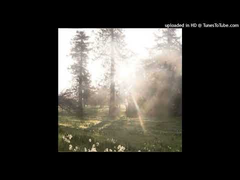 +free+ sacred blues type beat "water"
