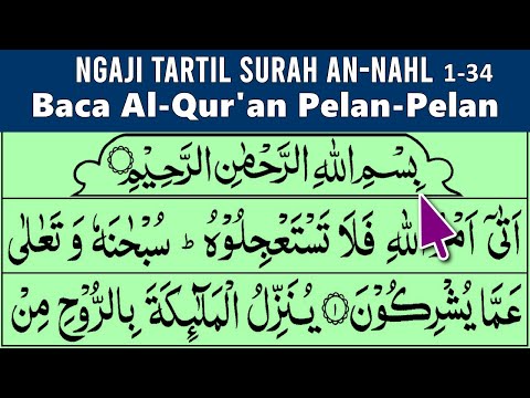 LEARN TO STUDY THE QURAN Easy Ways to Quickly and Fluently Read the Quran Tartil Plan QS. AN NAHL...