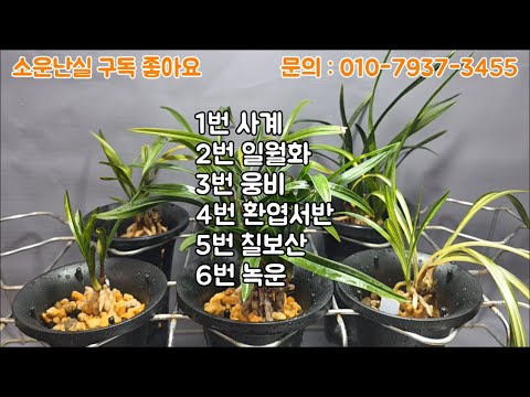 유튜브 썸네일