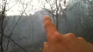 Drought Hill forest fire clip