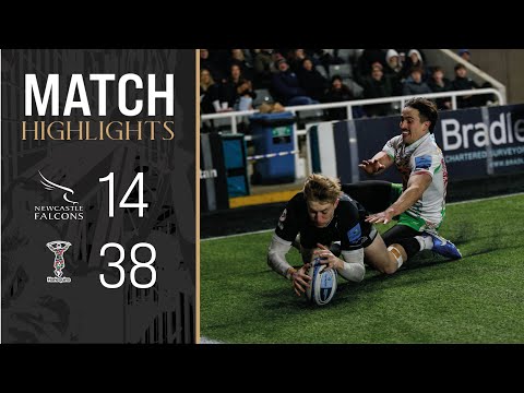 QUINS EARN KINGSTON PARK VICTORY | Match Highlights: Newcastle Falcons v Harlequins