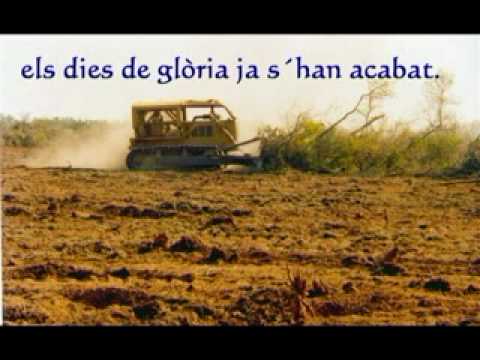 La gossa sorda-Quina calitja-(Canvi climàtic).flv