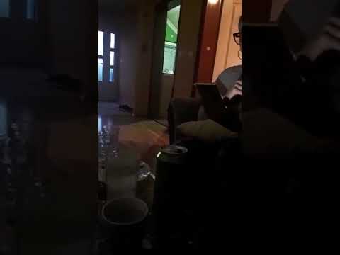 Marija Milovanovic -Imas mene nisi sam