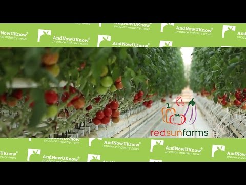 AndNowUKnow - Red Sun Farms - Behind The Greens