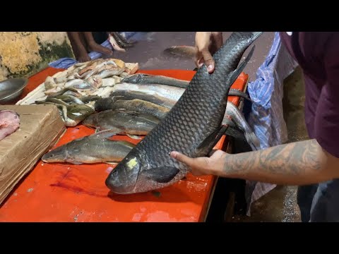 fish Market /  Biggest Wholesale Fish Market / Ludhiana