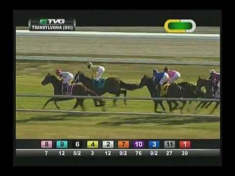 2013 Transylvania Stakes - Jack Milton