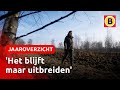 Brand raasde in 2020 door de Deurnese Peel | Jaaroverzicht