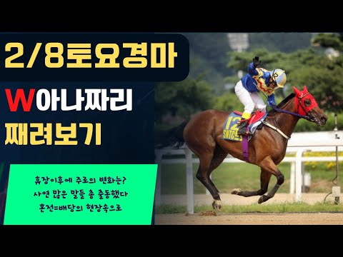 2/8 토요-윤택-경마 아나짜리 치열한 혼전,휴장후 첫 서울경마