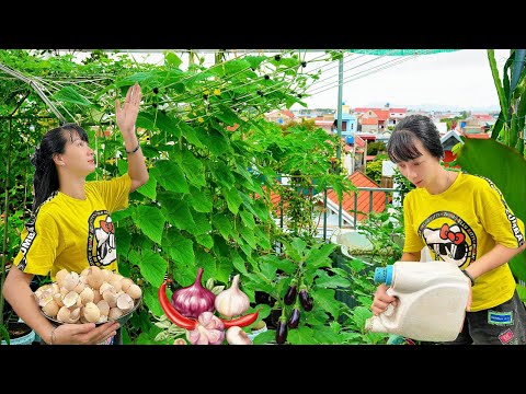 4 Essential Organic Gardening Tips: Natural Pest Control & Fertilizer from Food Waste