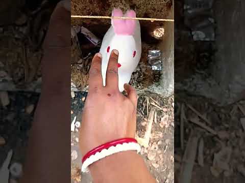 Niki is the most celebrity chihuahua in the world🤣🤣🤣🤣🤣