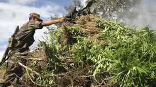 Godsmack - Sweet Leaf