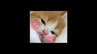 tema de nayla - serú girán (cover)