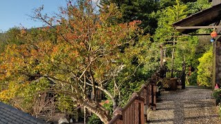 [問卦] 北投文物館與少帥禪園的楓紅日落溫泉