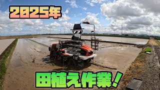 【繁忙期】2025年！怒涛の田植え作業！🌾【盈科】