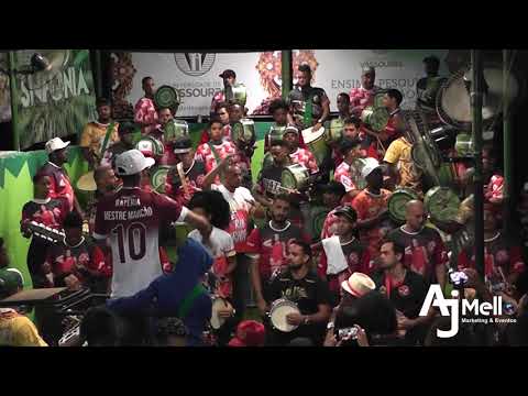 Bateria Furiosa Acadêmicos do Salgueiro visita Império da Tijuca