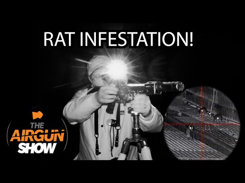 The Airgun Show | Rat Infestation Night Shooting | H&N Baracuda 8 Pellet Review
