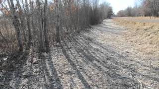 preview picture of video 'Wilderness Land Clearing & Mulching     Fort Ripley  MN'