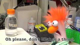 Grad School, I Love You (But You're Bringing Me Down)