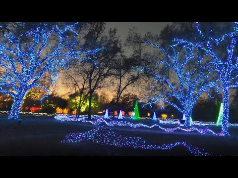 Redding Garden of Lights 2020