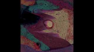 Glass Animals - Black Mambo Lyrics