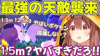 【ぽこあポケモン】遂にモルフォンと出会ってしまったころさん【ホロライブ戌神ころね切り抜き】