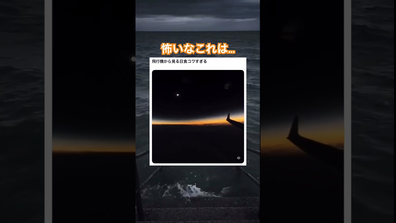 飲み込まれそう　#shorts#tiktok#Twitter#おもしろ#お笑い#おすすめ#日食 #神秘 #面白い#おもしろ動画#爆笑#バズれ