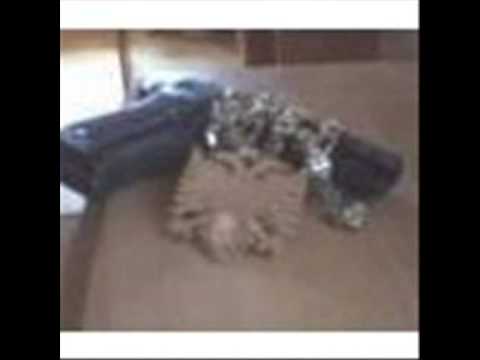 baca e b feat Double TT feat tritoli