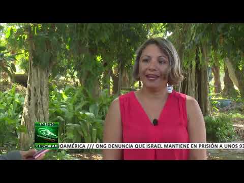 Cuba: Retos de la agricultura en Mayabeque durante 2025