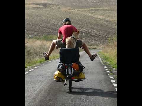 Vaseto - GOOD MORNING FRANK remix