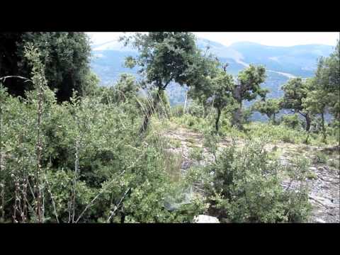 Estaciones de Monitoreo Intensivo Sierra Nevada EMI05b.wmv