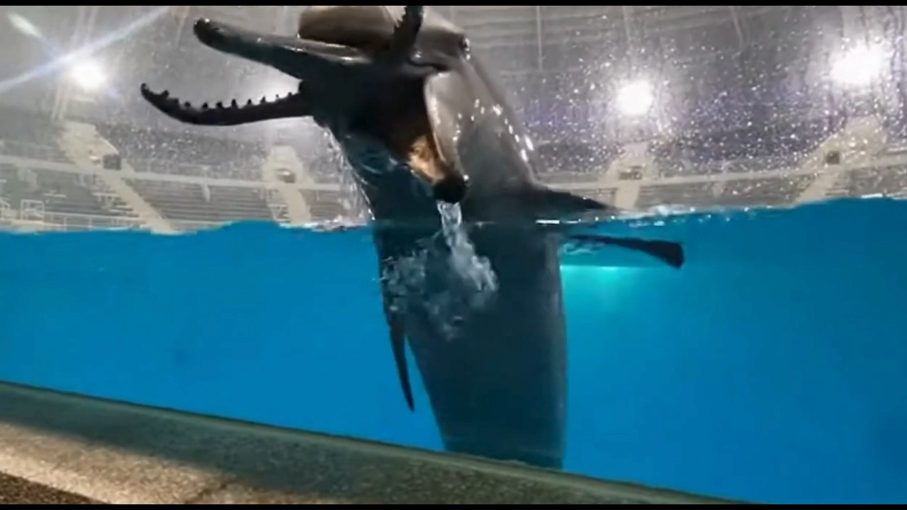 I visited Japan's strangest aquarium, the Deep Sea Horror Park.