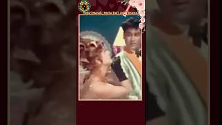 Download lagu O Haseena Zulfon Wali … Mohd Rafi, Asha Bhosle | Movie: Teesri Manzil (1966) mp3