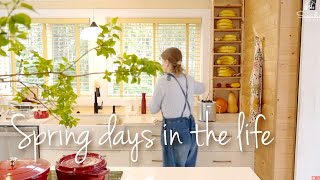 🌷COZY SPRING🌷getting things done | gardening, cooking, homemaking