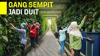 Download lagu GANG SEMPIT JADI KEBUN UANG SEKALI TANAM BISA PANEN TIAP MINGGU mp3 Download lagu GANG SEMPIT JADI KEBUN UANG SEKALI TANAM BISA PANEN TIAP MINGGU mp3