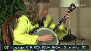 Gold Tone IT-250F Irish Tenor Banjo