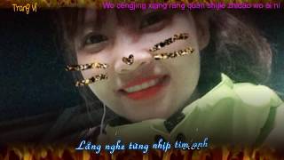 Trang Vi   Wǒ céngjīng xiǎng ràng quán shìjiè zhīdào wǒ ài nǐ