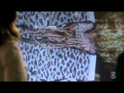 Bones-Dentist In The Ditch-Dr Brennan Examins Bones