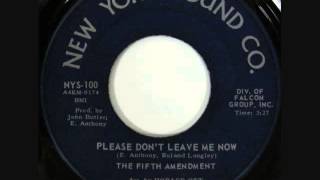 The Fifth Amendment  -  Please Don't Leave Me Now