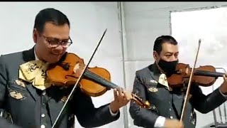 Mariachi Zacatecano (De Pepe @guilar) - Toro serrano (Ensayo) 🎶👌🏻🎻🎤😍
