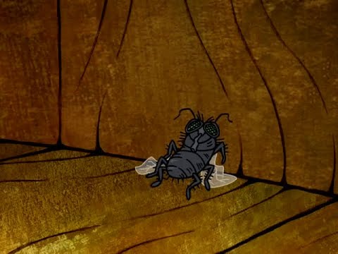 [Flapjack] Kid Nickles beats the poor fly up