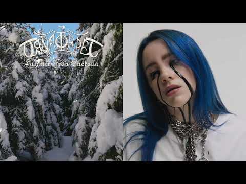 Örnatorpet feat. Billie Eilish - När festen är över frusen mark (dungeon synth/pop mashup)